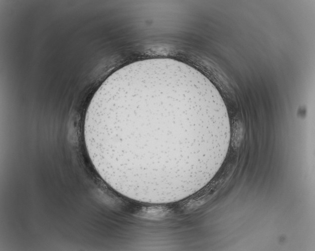 X0000116490414201001201407