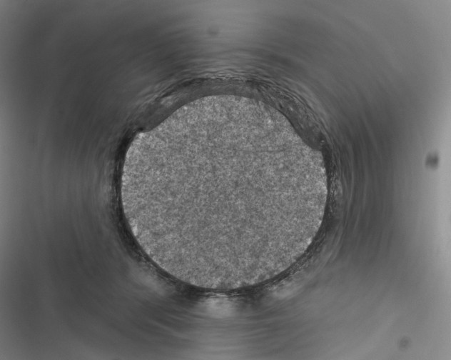 X0000116490416201001201407