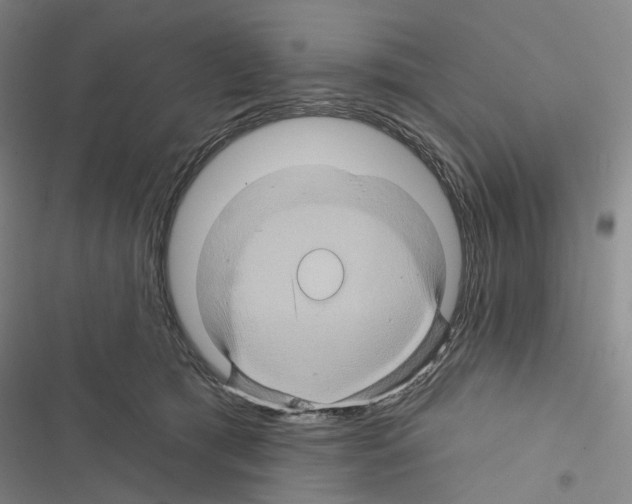 X0000116490417201001201407