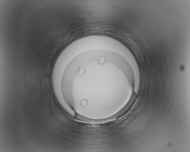 X0000116490419201001201407