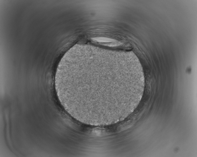 X0000116490420201001201407