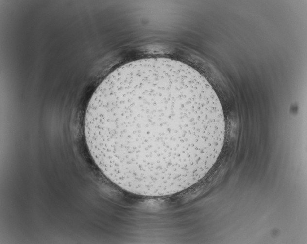 X0000116490422201001201407