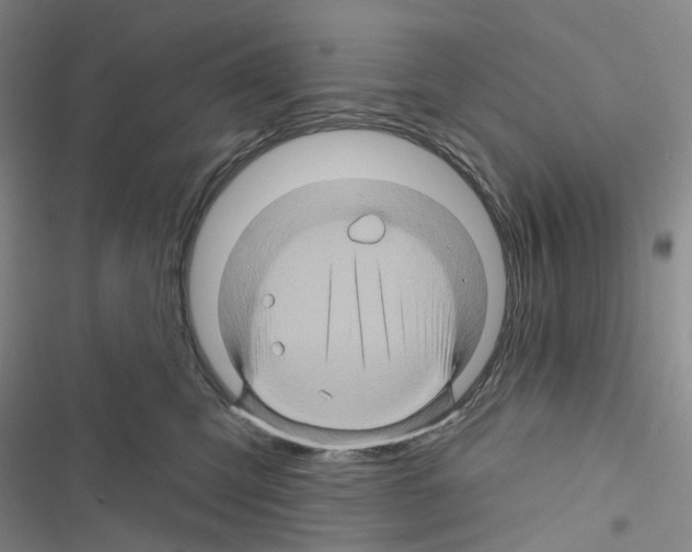 X0000116490423201001201407