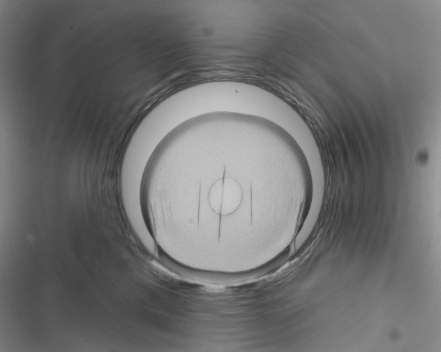 X0000116490425201001201407