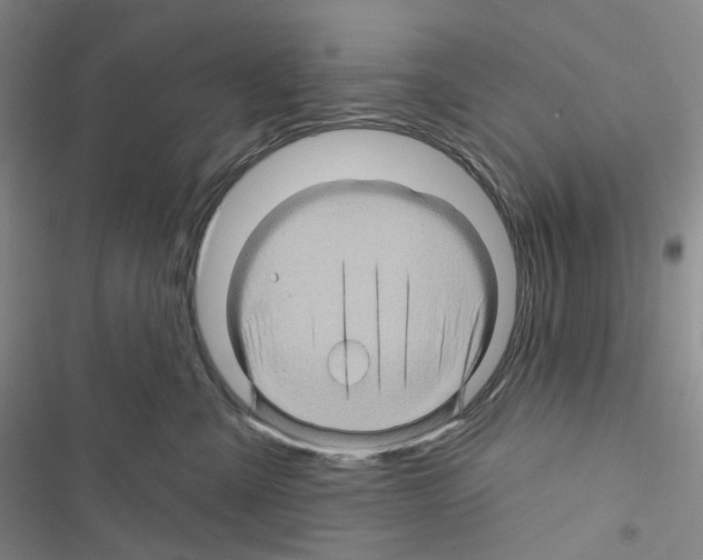 X0000116490427201001201407