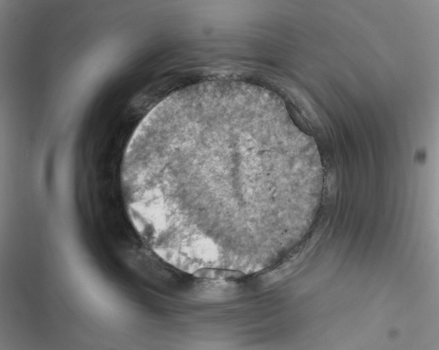 X0000116490429201001201407