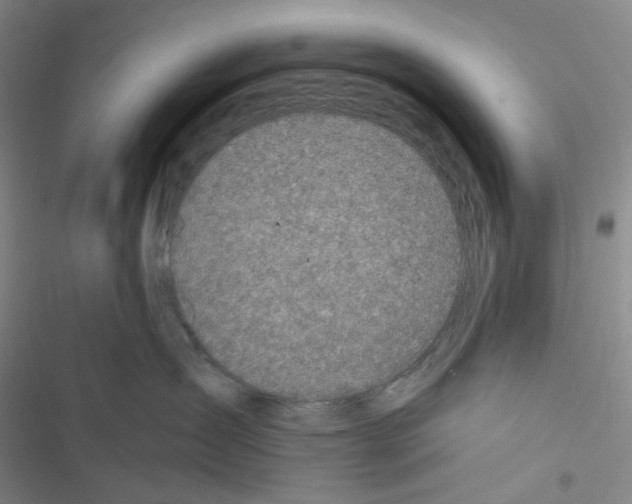 X0000116490431201001201407