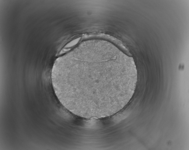 X0000116490432201001201407