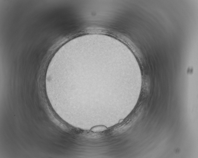 X0000116490433201001201406