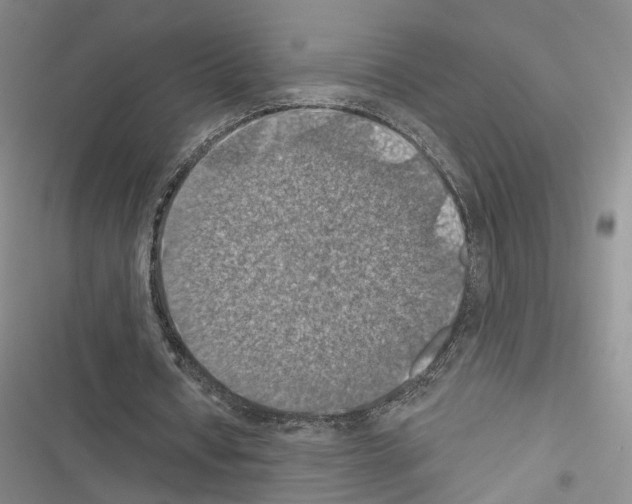 X0000116490434201001201406