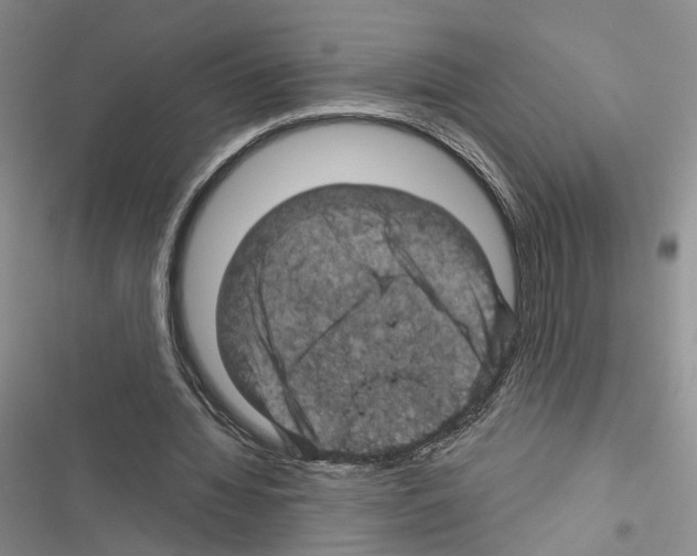 X0000116490436201001201406