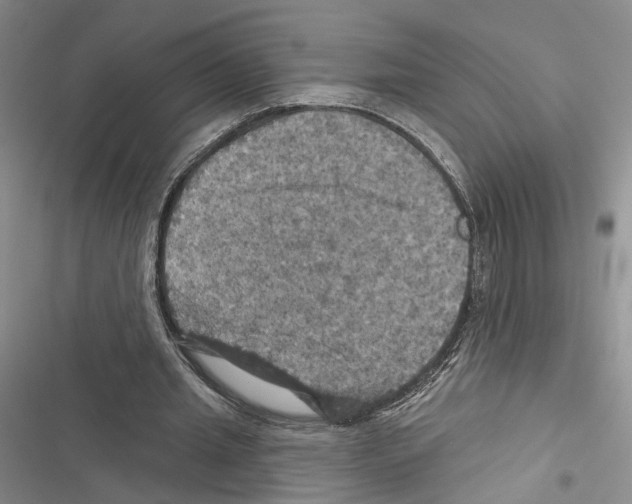 X0000116490437201001201406