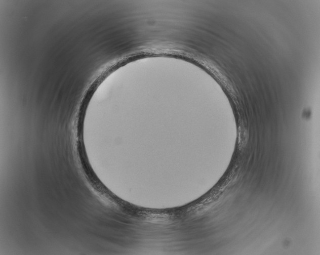 X0000116490438201001201406