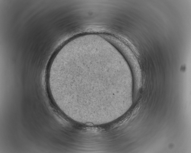 X0000116490439201001201406