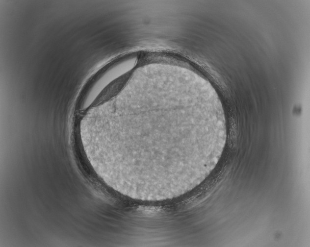 X0000116490440201001201406