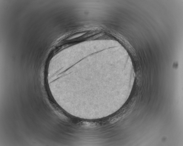 X0000116490442201001201406