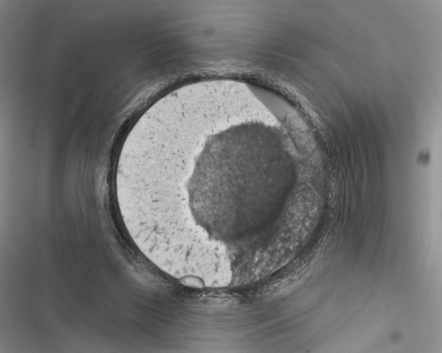 X0000116490443201001201406