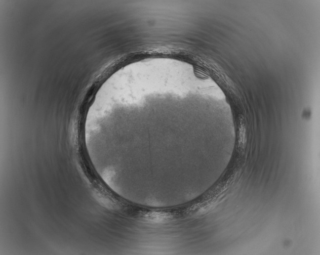 X0000116490444201001201406