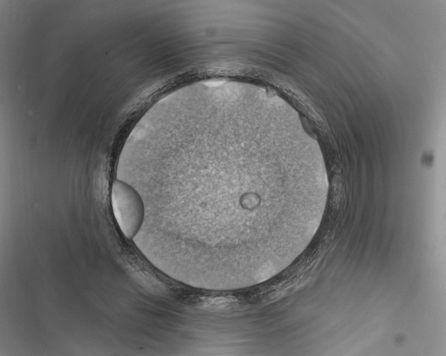 X0000116490446201001201406