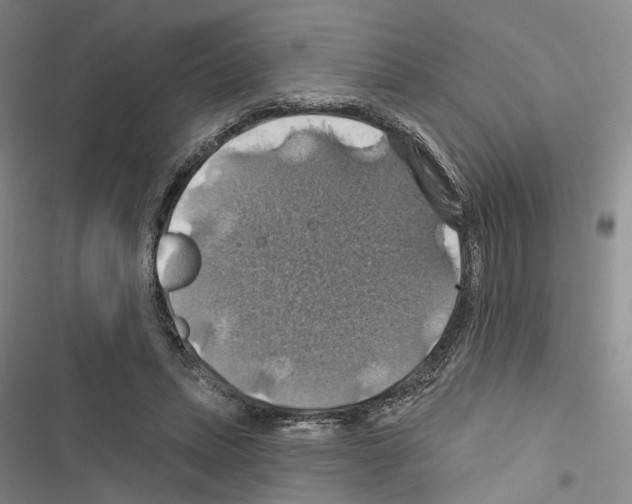 X0000116490447201001201406