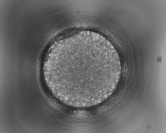 X0000116490448201001201406