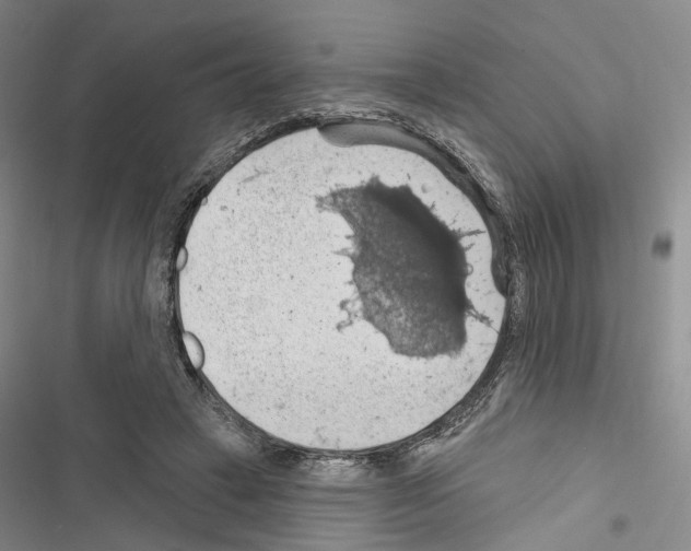 X0000116490449201001201407