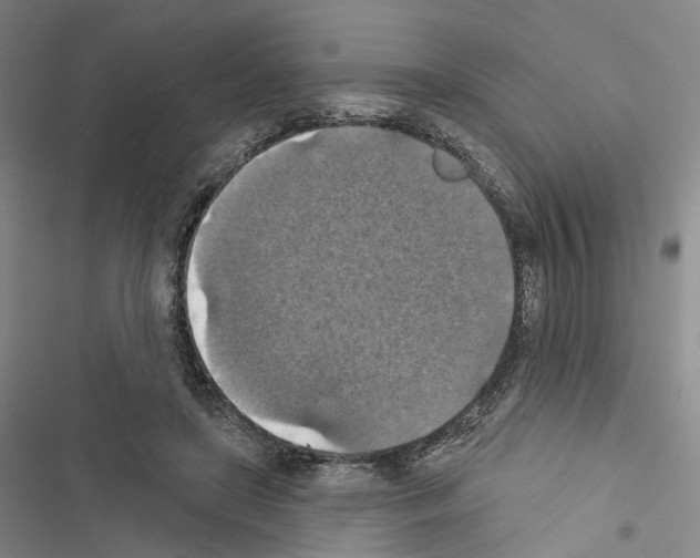 X0000116490451201001201407