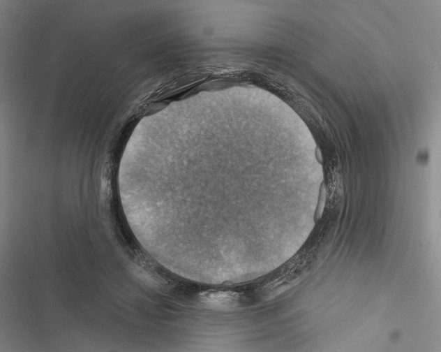 X0000116490452201001201407