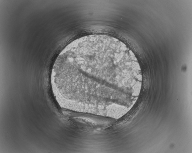 X0000116490453201001201407