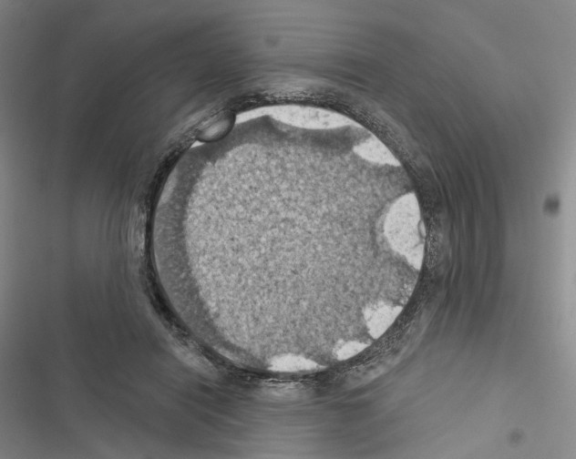 X0000116490454201001201407