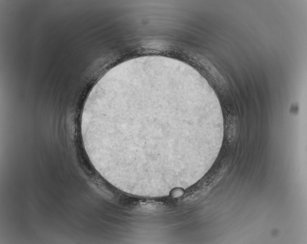 X0000116490455201001201407