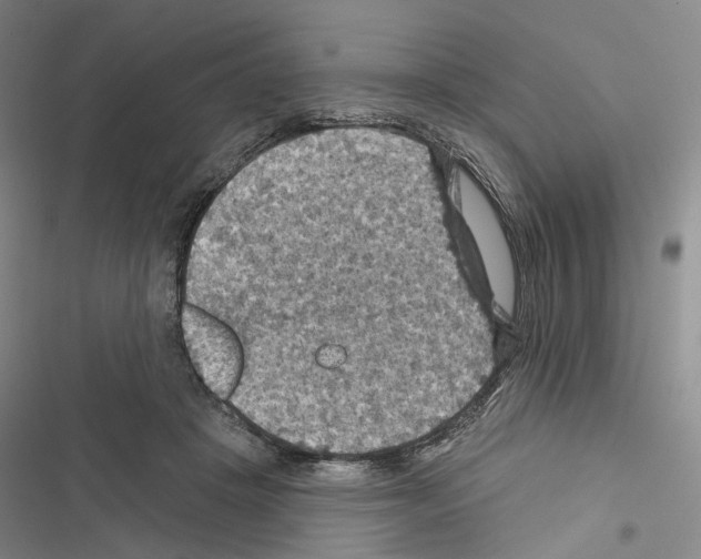 X0000116490457201001201407