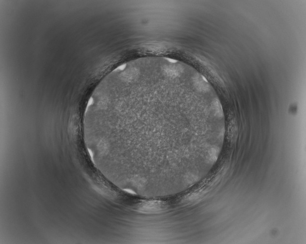 X0000116490459201001201407