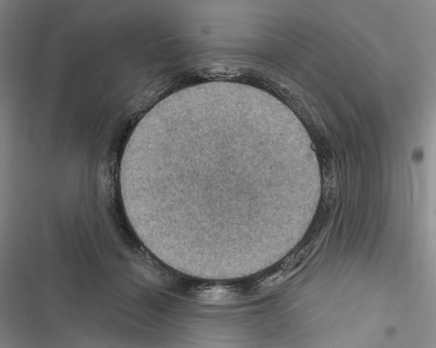 X0000116490460201001201407