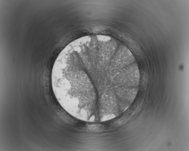 X0000116490461201001201407