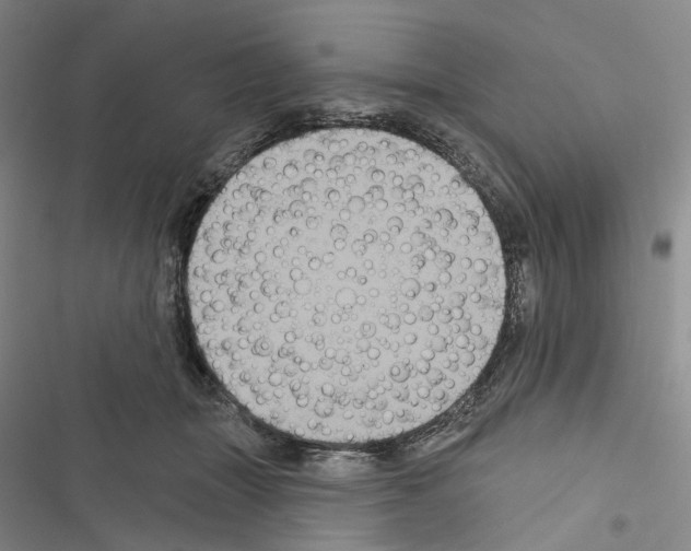 X0000116490463201001201407