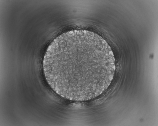 X0000116490464201001201407