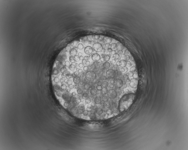 X0000116490466201001201407