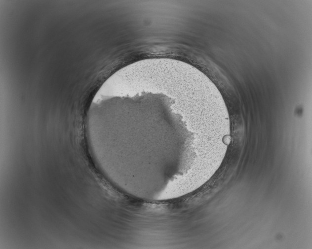 X0000116490469201001201407