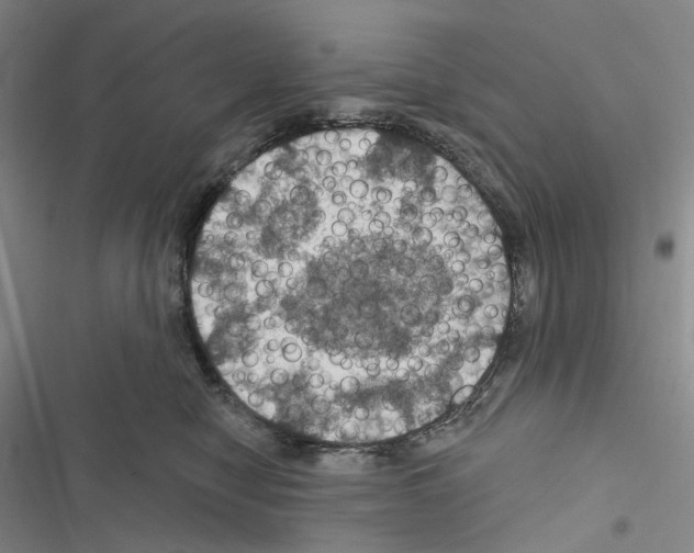 X0000116490470201001201407