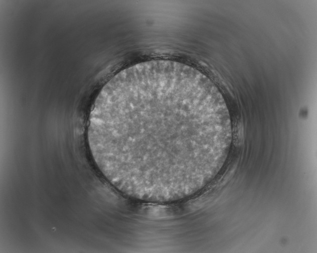 X0000116490472201001201407