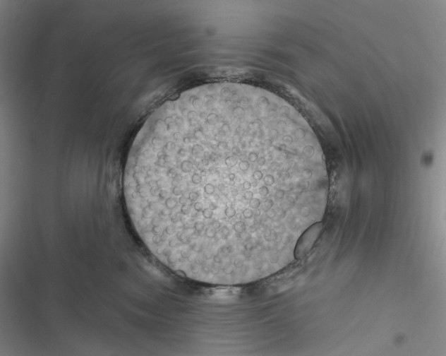 X0000116490474201001201407