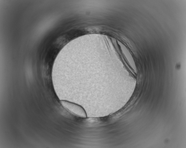 X0000116490477201001201407