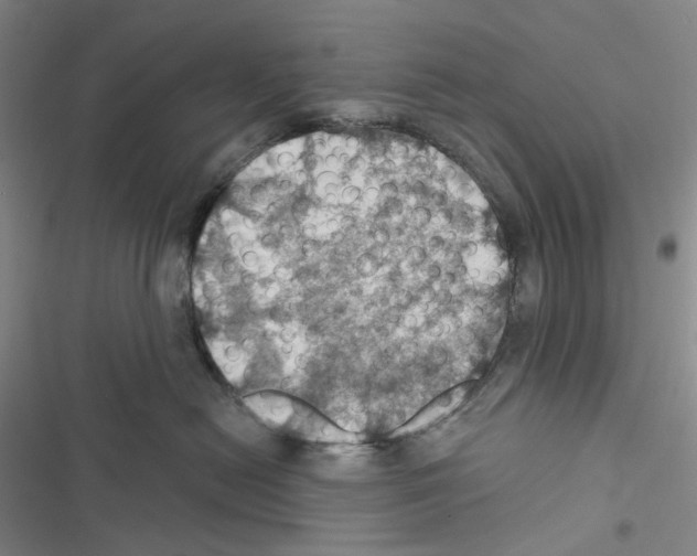 X0000116490478201001201407