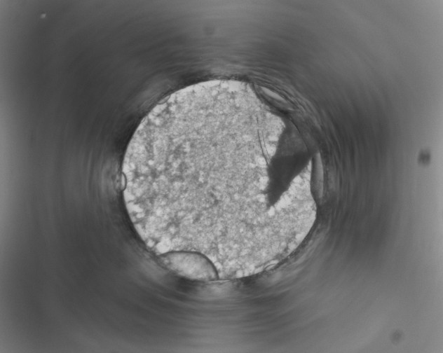 X0000116490479201001201407