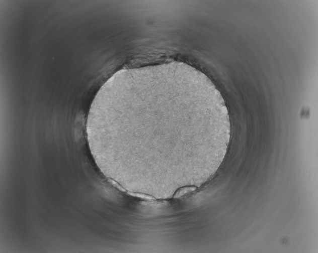 X0000116490480201001201407