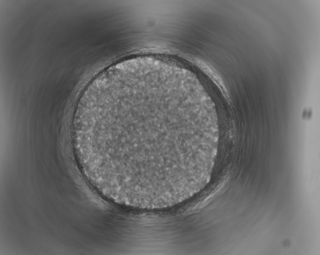 X0000116490481201001201406