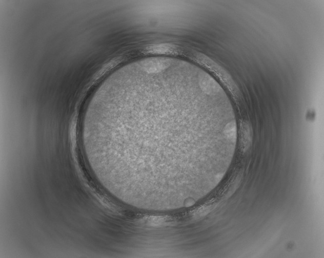 X0000116490482201001201406