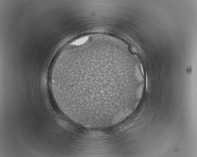 X0000116490483201001201406