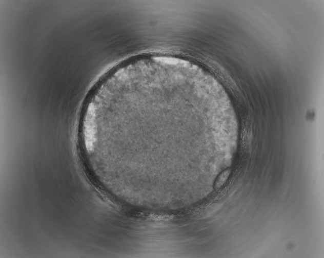 X0000116490484201001201406